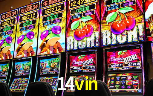 Premium Interface 14vin