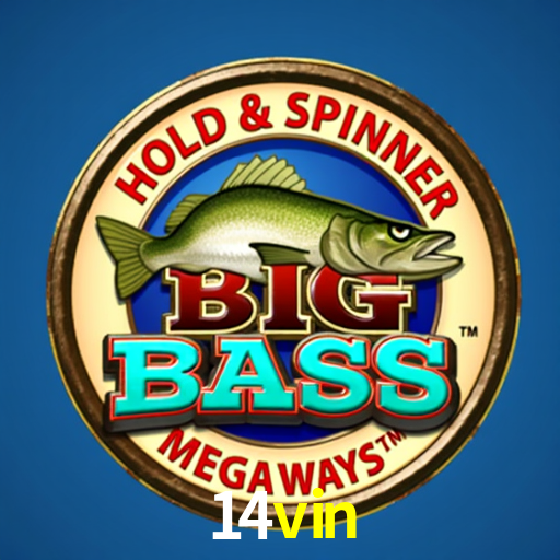 Bonus Features 14vin